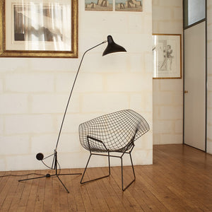 Mantis Floor Lamp